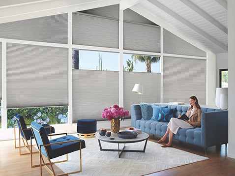 Hunter Douglas Dealer Image